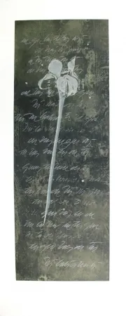 Офорт И Аквитанта Conte - El lenguaje de las flores I