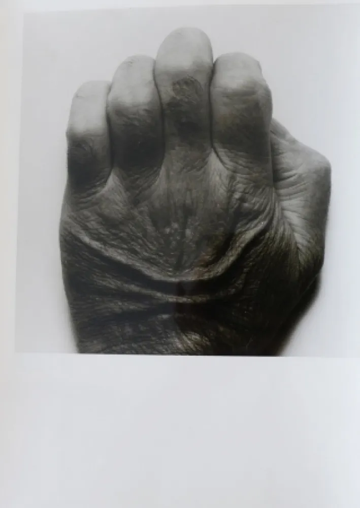 Фотографии Coplans - Selfportrait back of hand