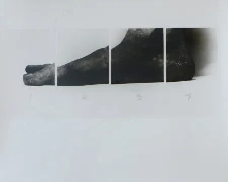 Фотографии Coplans - Selfportrait feet four panels