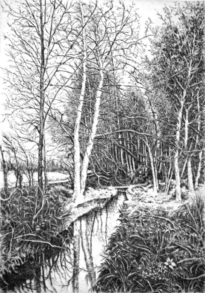 Офорт Cotugno  - Autunno