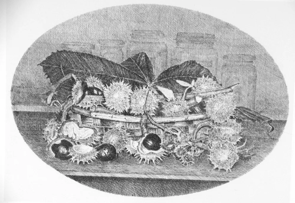 Офорт Cotugno  - Cestino