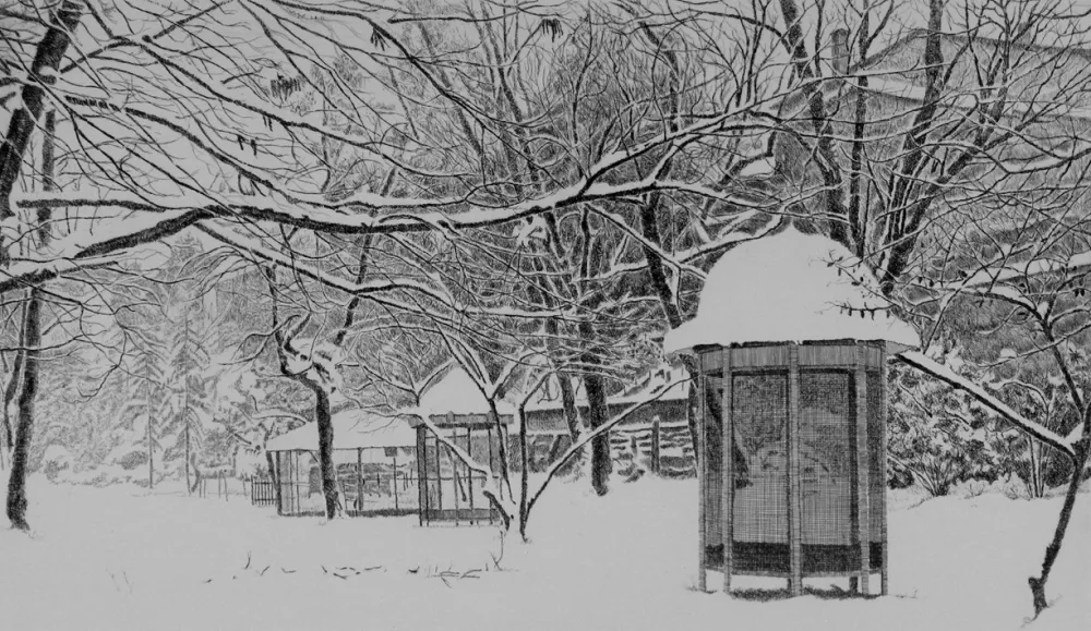 Офорт Cotugno  - Gennaio. Isola Carolina