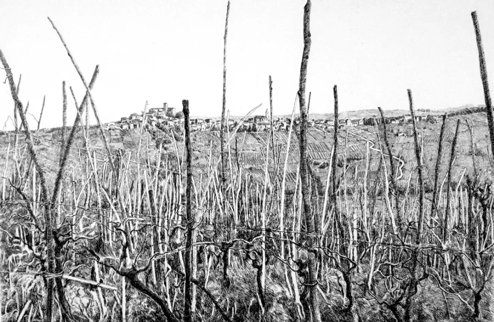 Офорт Cotugno  - Rovescala