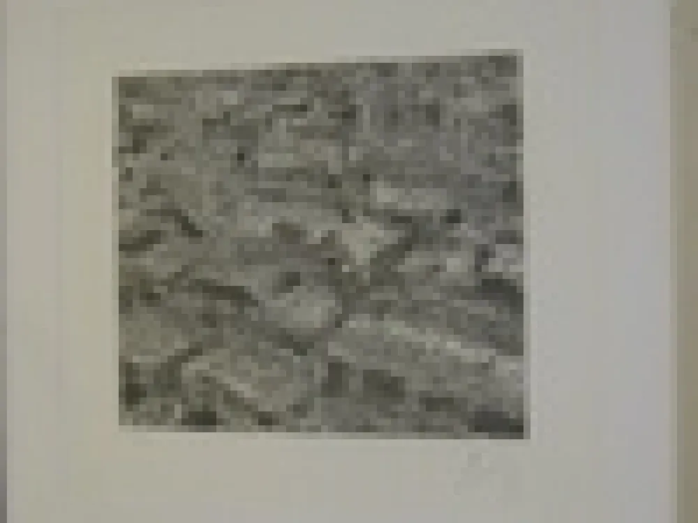 Гравюра Cragg - Traffic