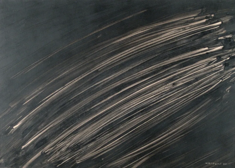 Нет Никаких Технических Criton - Technique mixte sur papier marouflée sur toile. 