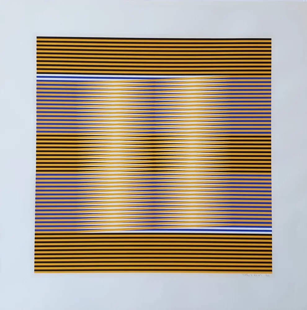 Многоэкземплярное Произведение Cruz-Diez - Untitled