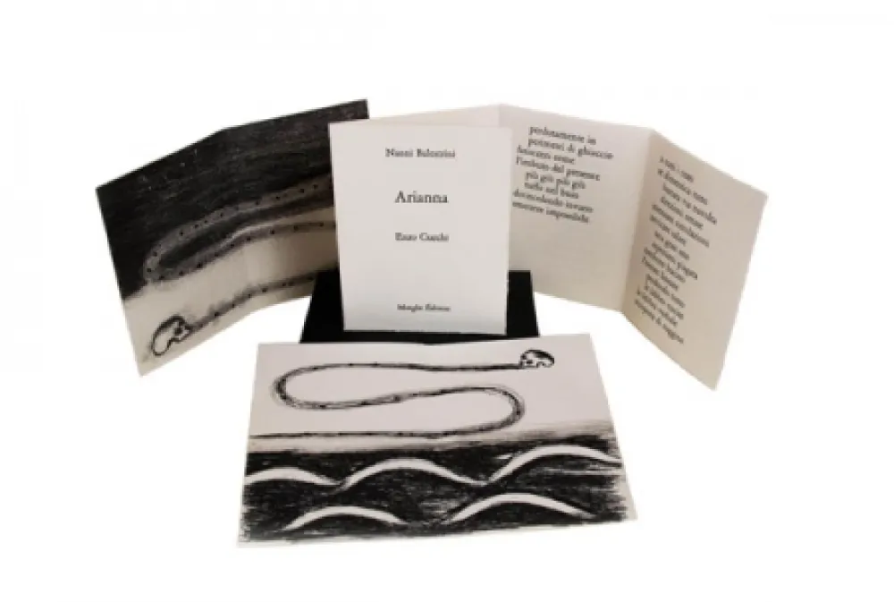 Иллюстрированная Книга Cucchi - Arianna