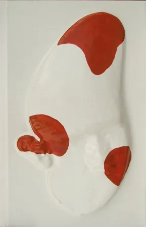 Иллюстрированная Книга Cucchi - La grande scimmia