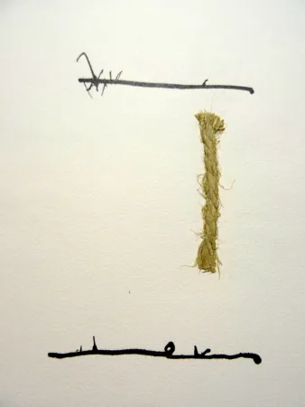 Иллюстрированная Книга Cuixart - Cuixart