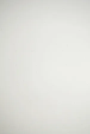 Литография Dadamaino - Senza titolo