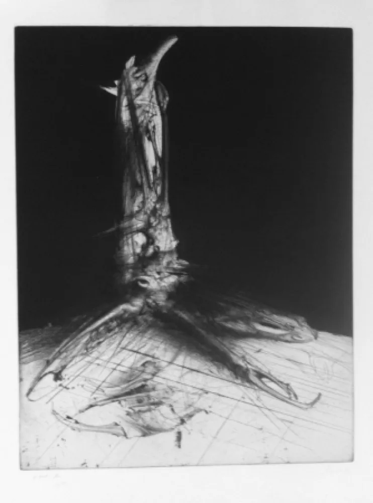 Гравюра Dado - Sans titre