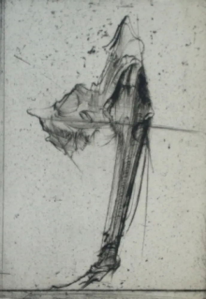 Офорт Dado - Sans titre