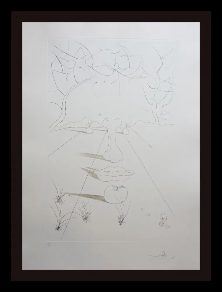 Гравюра Dali - Aurelia Visage Surrealiste