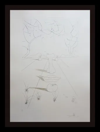 Гравюра Dali - Aurelia Visage Surrealiste