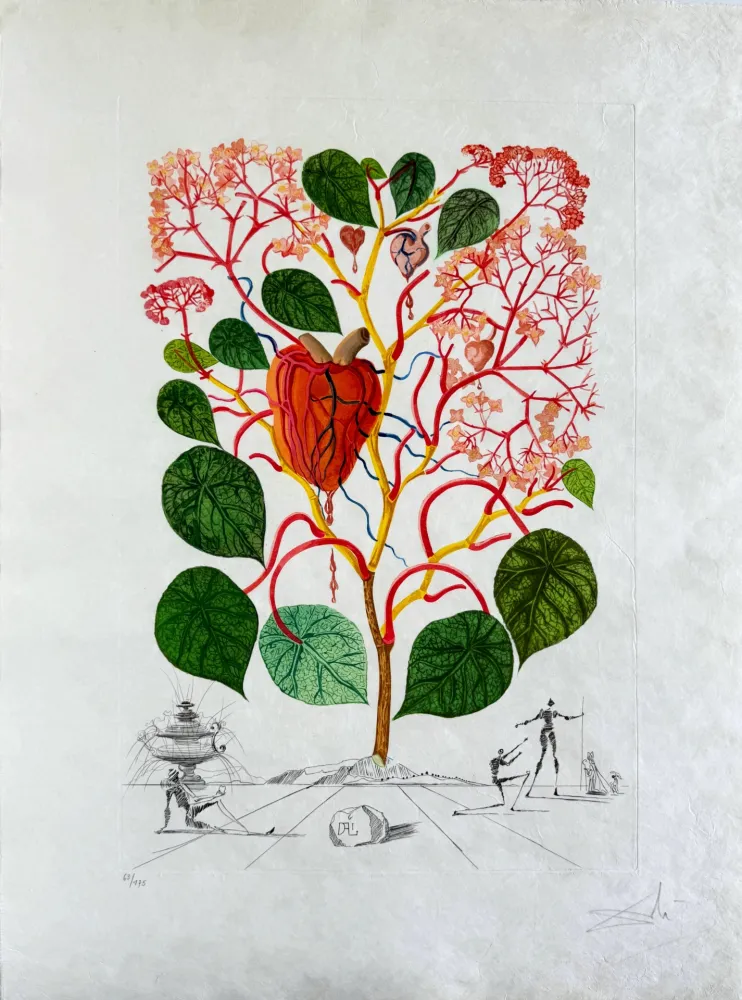 Гравюра Сухой Иглой Dali - Begonia (Anacardium recordans)
