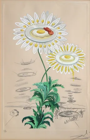 Гравюра Dali - Chrysanthemum Frutescens