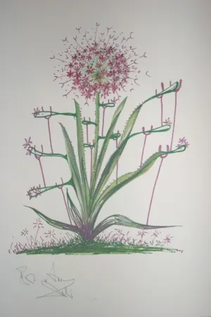 Литография Dali -  Desert Cactus (surrealistic flowers)