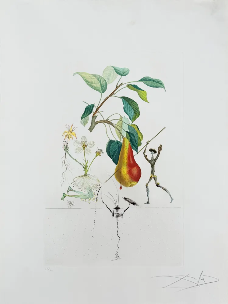 Литография Dali - Don Quixote Pear from Flordali suite