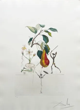 Литография Dali - Don Quixote Pear from Flordali suite