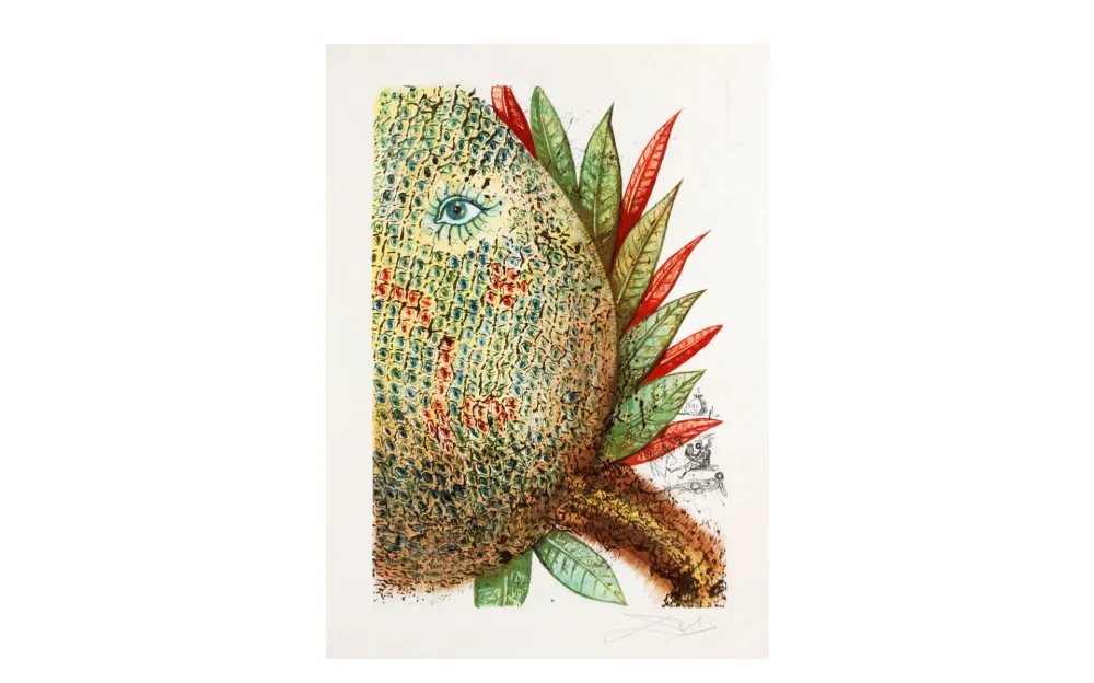 Офорт И Аквитанта Dali - FLEURS RÊVÉES. Portfolio complet. 7 estampes (1970)