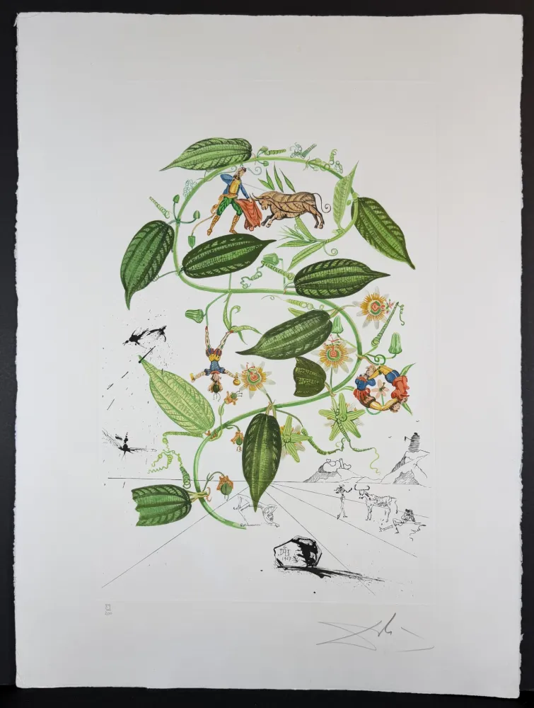 Гравюра Dali - Flora Dalinae Passionflower