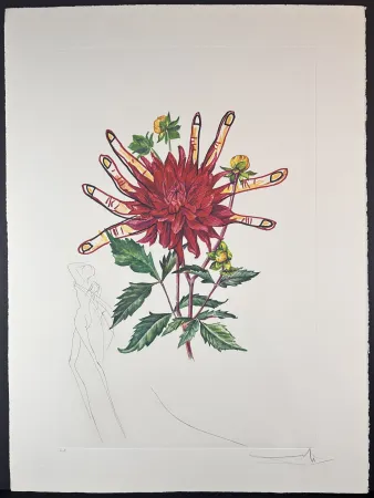 Гравюра Dali - Florals Dahlia (+ Fingers) Venus