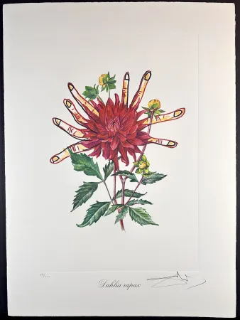 Гравюра Dali - Florals Dahlias of Dali