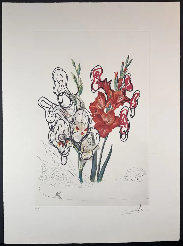 Гравюра Dali - Florals Gladiolus Costa Brava
