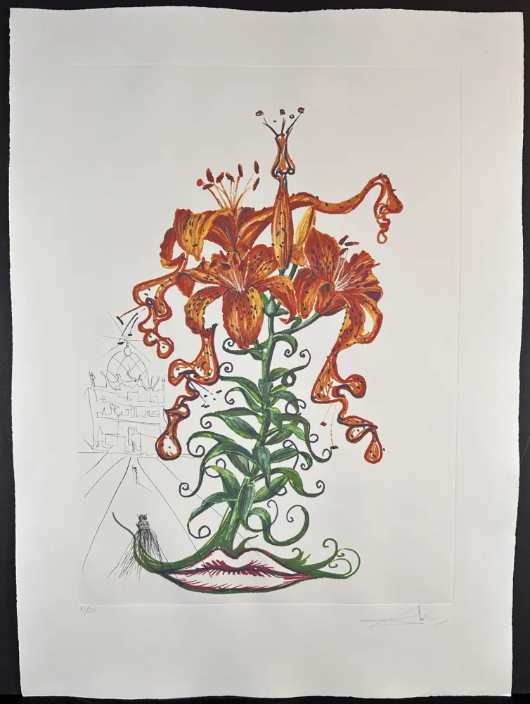 Гравюра Dali - Florals Tiger Lilies