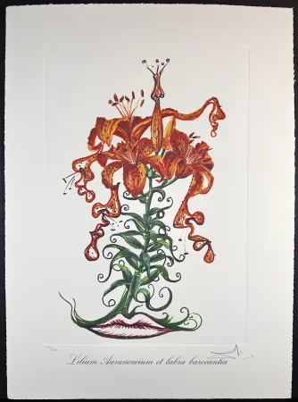 Гравюра Dali - Florals Tiger Lilies of The Theatre