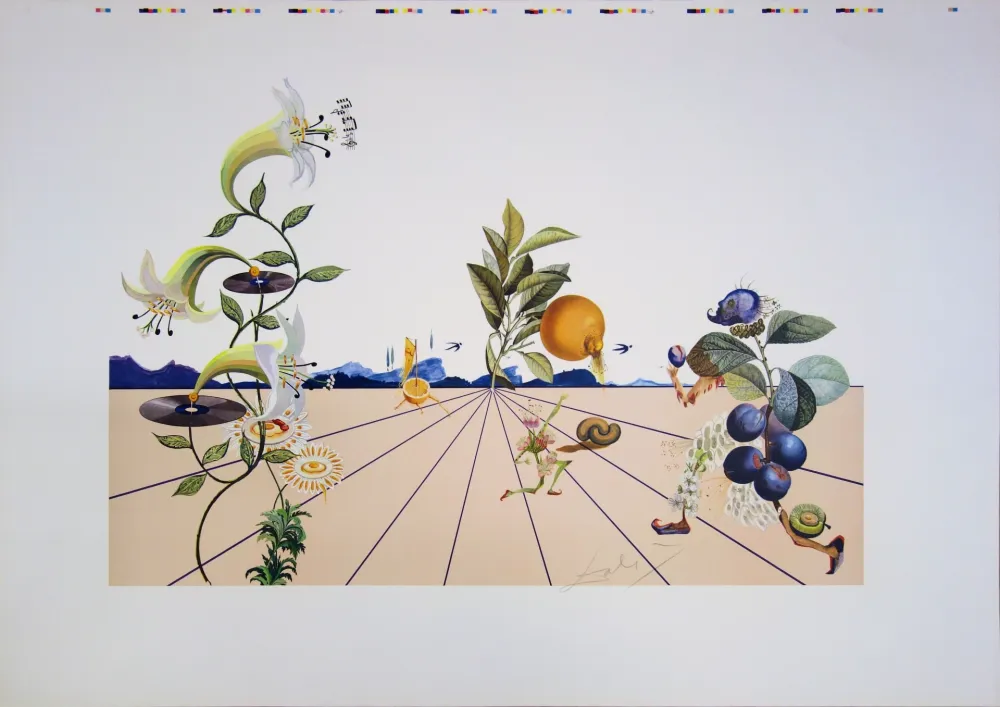 Литография Dali - Flordali
