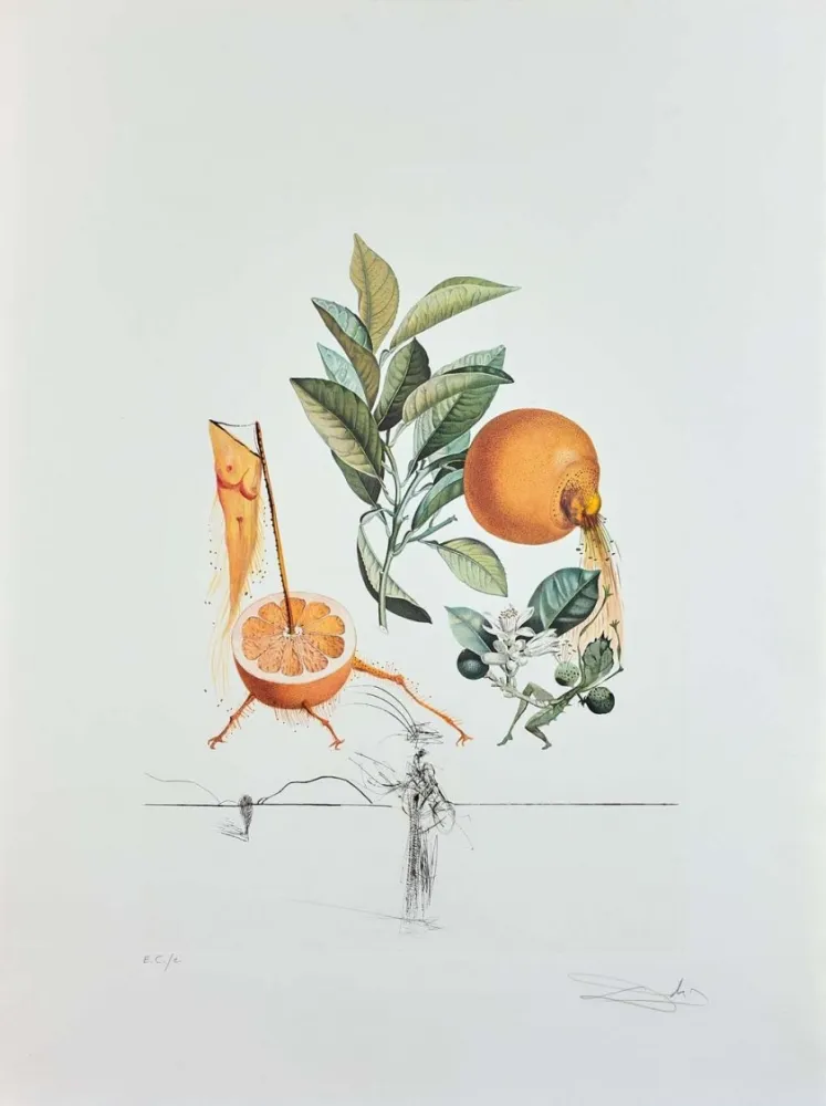 Гравюра Dali - Flordali - Pamplemousse Erotique