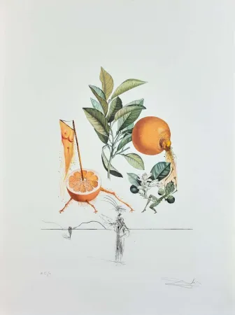 Гравюра Dali - Flordali - Pamplemousse Erotique