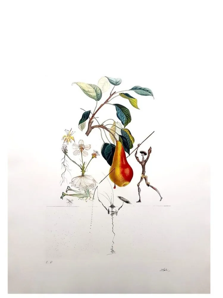 Гравюра Dali - Flordali - Poire Don Quixote