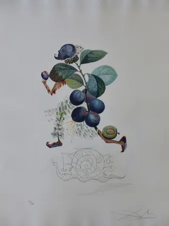 Гравюра Dali - Flordali - Prunier Hatif