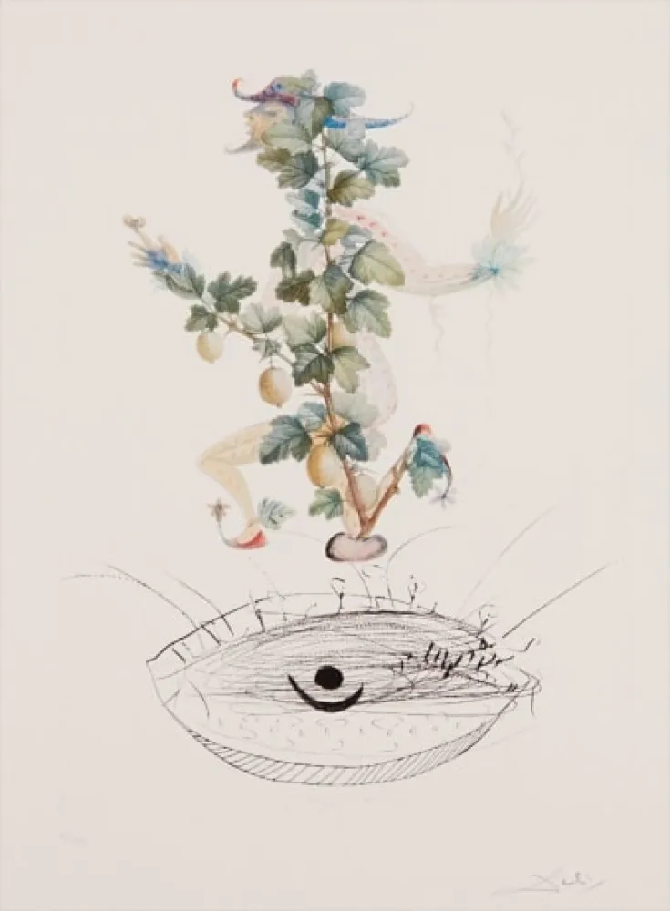 Гравюра Dali - Flordali - Révérence du Groseiller