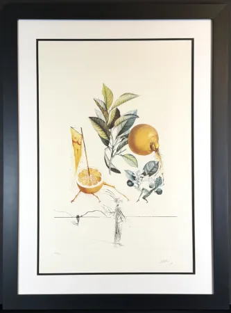 Гравюра Dali - FlorDali/Les Fruits Grapefruit