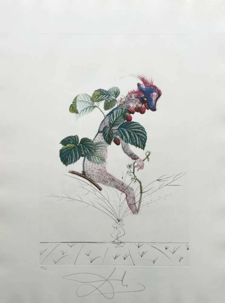 Литография Dali - Framboisier (Raspberry Bush)