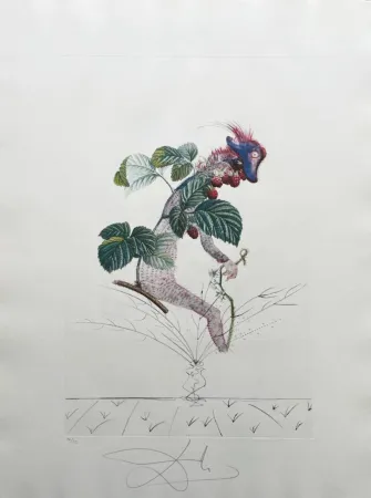 Литография Dali - Framboisier (Raspberry Bush)