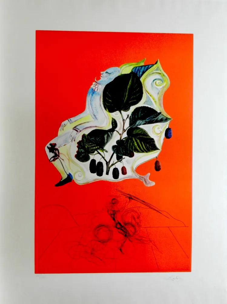 Гравюра Dali - Fruits Blackberries