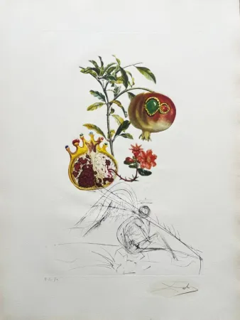Литография Dali - Grenade et l’ange (Pomegranate and Angel)