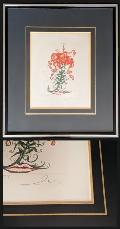 Гравюра Dali - Hand-Signed Engraving-Tiger Lilies / Lilium Aurancacium et labra barocantia, 1972 - Hand-signed by Dali lower right, 1972
