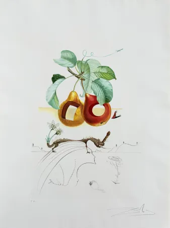 Литография Dali - Holed Fruit from Flordali suite