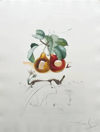 Литография Dali - Holed Fruit from Flordali suite