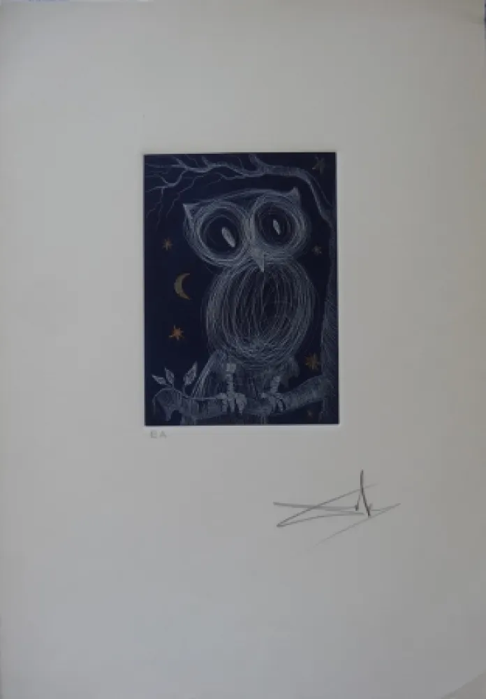 Офорт Dali - La petite chouette