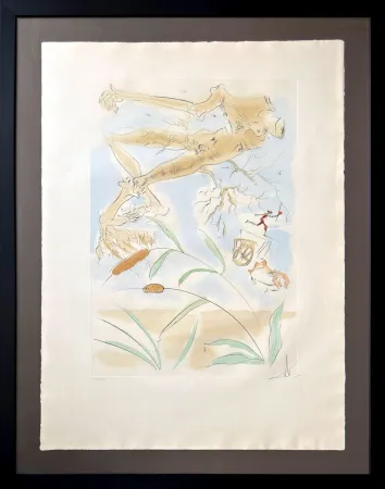 Офорт Dali - Le Chêne et le Roseau (The Oak and the Reed)