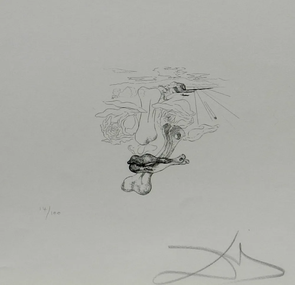 Гравюра Dali - Les Chantes de Maldoror Carnal Transfiguration