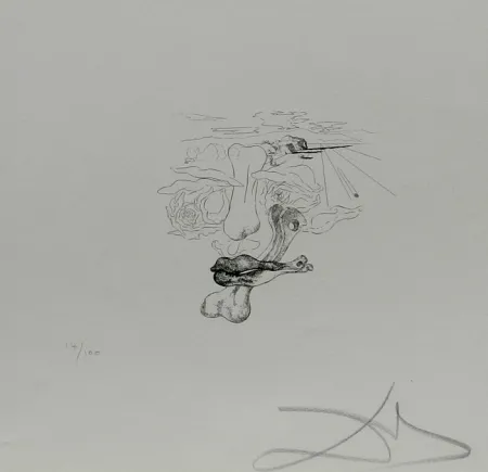 Гравюра Dali - Les Chantes de Maldoror Carnal Transfiguration