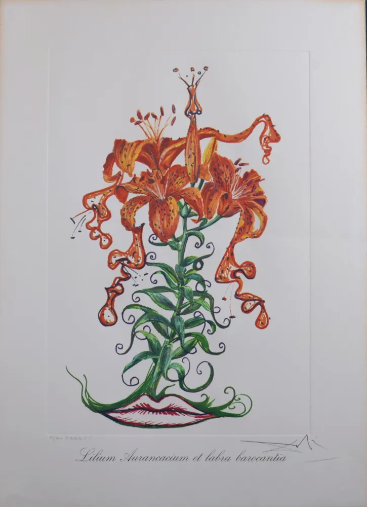 Многоэкземплярное Произведение Dali - Lilium Aurancacium et labra barocantia, 1972 - Hand-signed!