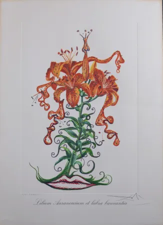 Многоэкземплярное Произведение Dali - Lilium Aurancacium et labra barocantia, 1972 - Hand-signed!